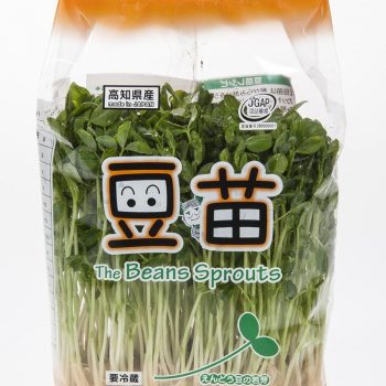 S様　生鮮野菜の撮影をいたしました。