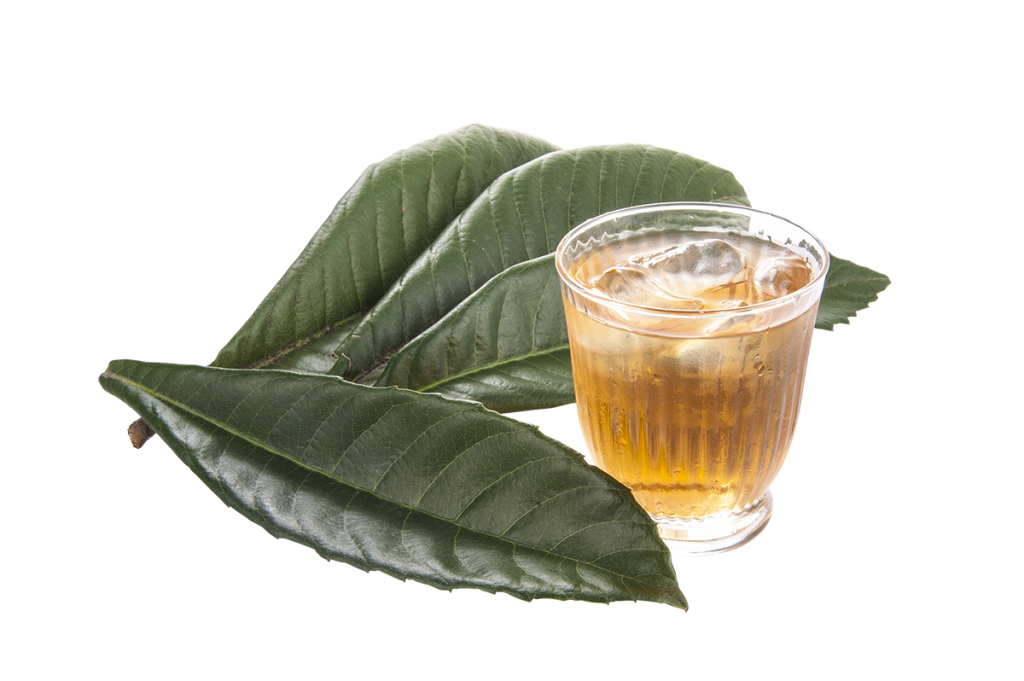 TK様　びわ茶
