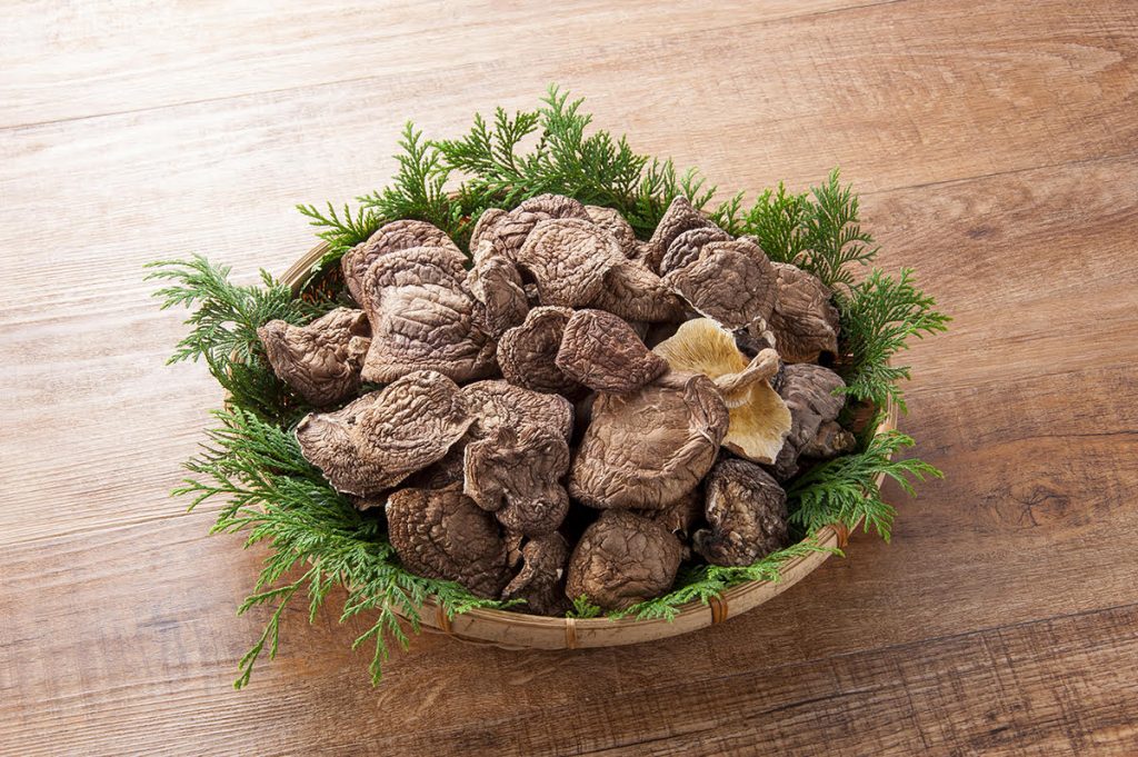 ZH様　乾燥椎茸の撮影